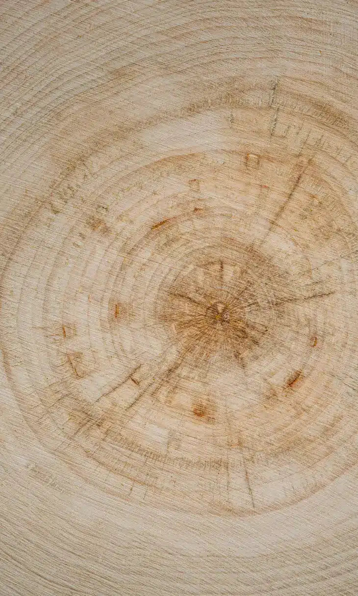 Close-up of tree ring texture